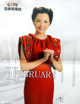 资料：央视年历盘点 董卿“一姐”之路