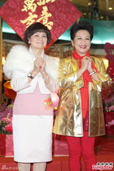 组图：陈慧琳否认人工受孕生女传闻 不打算再生