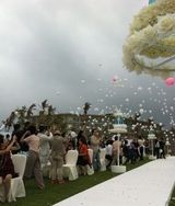 组图：大S纯白婚纱牵手新郎汪小菲出场 甜蜜拥吻