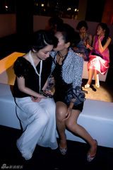 组图：秦海璐刘涛姐俩好牵手走红毯