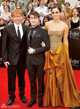 高组图：《哈7下》纽约首映 艾玛低胸礼服亮相