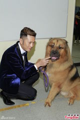 组图：苏志威秀驯烈犬功夫 高海宁走乖巧风