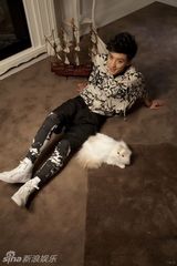 组图：乔任梁登宠物杂志 爱心绝招搞定大牌猫咪