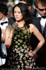 组图：章子怡黑底碎花透视装亮相 耳环耀眼