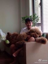 组图：霍思燕杜江秀爱犬合照 爱心满溢