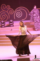 香港办文艺晚会庆国庆 霍震霆称不办百日宴(图)