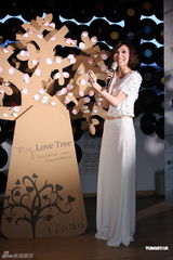 组图：林凡携新专辑归来 变美亮相否认整形