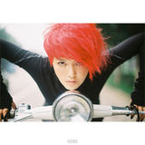 组图：2013年中国TOP排行榜颁奖晚会入围名单