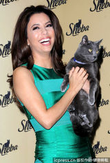 组图：伊娃朗格利亚翠绿裙亮相 开心与猫咪合影