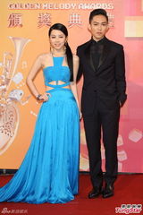 群星亮相金曲奖红毯 蔡依林美腿梁静茹性感(图)