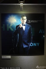 组图：金像奖红毯就绪 影帝影后提名人写真抢镜