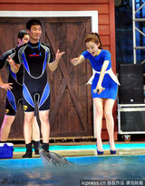 组图：范玮琪性感亮相西安 与海豚亲密互动