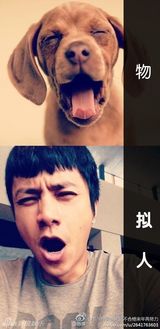 组图：愚人节恶搞 陈坤学小狗袁弘戴惊悚面具