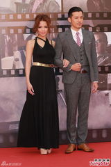 组图：方皓文金像奖红毯黑裙保守 不露事业线