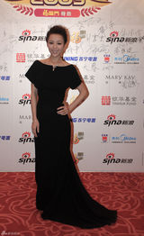 高清图：张静初呼吁爱心凝聚 公益推动任重道远