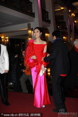 幻灯图集：《大兵小将》柏林首映 成龙林鹏着情侣装