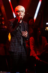 独家：韩SM情歌合辑发布 少时EXO等众星演唱