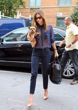 组图：米兰达透视蓝色上装携宠物狗出街派头十足