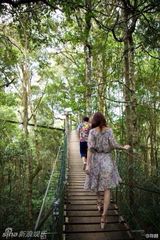 组图：陈赫携娇妻澳洲度蜜月 夫妻卖萌丛林探险