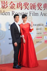 组图：张静初红裙甜美 挽李治廷现身红毯