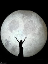 组图：杨丽萍《云南映象》升级版首演 十年沉淀