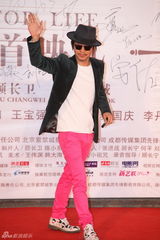 高清组图：《最爱》北京首映 姚晨葛优等群星助阵