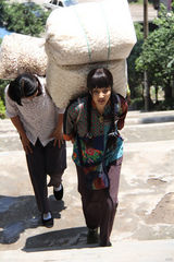 组图：《半城山水满城橘》花絮照 陶红和弟弟首合作