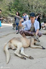 组图：陈赫攀千米高空示爱 携娇妻度蜜月