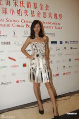组图：靳羽西车永莉吕燕等出席慈善晚宴