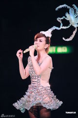 组图：梁静茹演唱会落幕 与表哥同台合唱