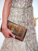 组图：艾美奖红毯 卡特-迪莉金丝长裙花枝乱颤 