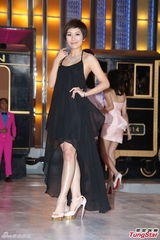 组图：TVB2014巡礼全员出动 女星竞艳旧爱相逢