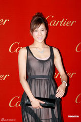 高清组图：刘嘉玲阮经天张智霖出席名店开幕派对