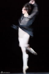 组图：中芭创意坊中西合璧应答“命题作文”