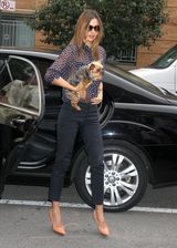 组图：米兰达透视蓝色上装携宠物狗出街派头十足