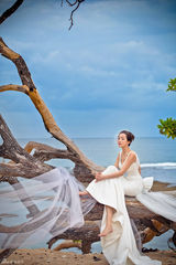 组图：严屹宽杜若溪海外婚礼 大象迎亲明星助阵