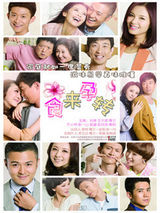 组图：2013中国国际影视节目展部分剧目海报