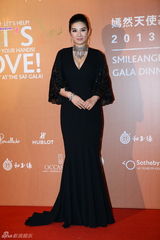 群星闪耀嫣然基金晚宴 王菲旗袍装与李亚鹏恩爱