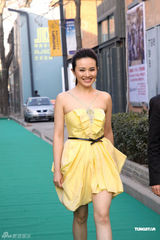 组图：陶红马艳丽陈紫函等亮相汽车盛典 呼吁环保