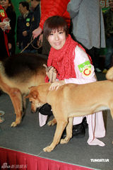 幻灯：《老友狗狗》美食大作战 收视有望创新高