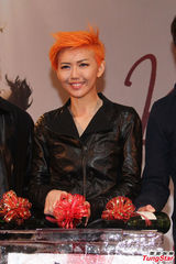 组图：孙燕姿橙发亮眼披黄金甲 许美静助阵