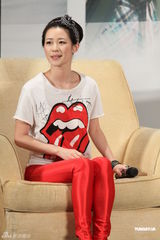 组图：《万有引力》办媒体见面会 莫文蔚丝袜诱惑