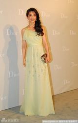 幻灯图：汤唯张曼玉周迅塞隆等众女星闪耀派对