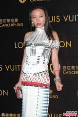 甄子丹妻子否认再办婚礼 阿Sa闭关未见陈伟霆