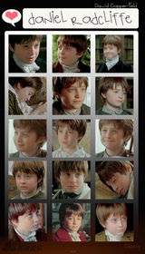 策划：魔法金童变大叔 哈利波特“毁灭”之路