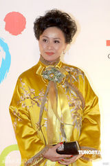 幻灯图集：王菲再现招牌烟熏妆 刘嘉玲黄色唐装雷人