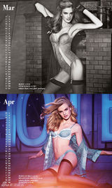 组图：日历宝贝2013年历 性感内衣大秀曼妙身姿