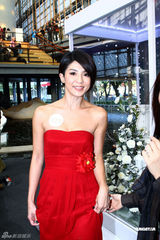 组图：杨采妮一袭红裙娇艳动人 显玉女优雅风范