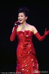 组图：中国之夜宋祖英郎朗台上握手似掰手腕