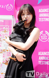 组图：尹胜雅参加反对动物实验签名活动吻爱犬